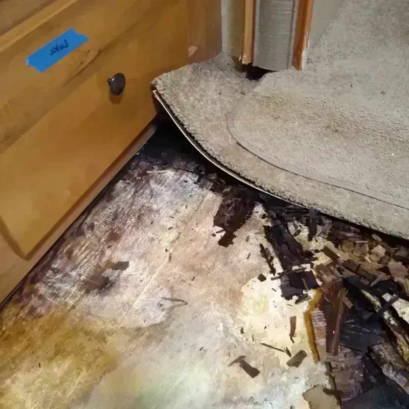 Wood Floor Water Damage in Lake Forest, IL